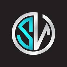 SV Media